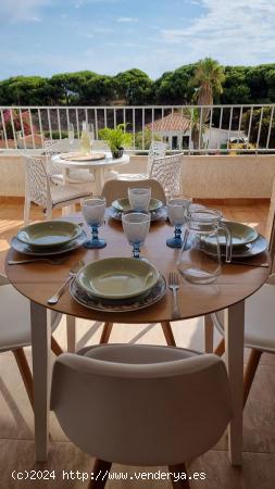 APARTMENT IN LA MATA - TORREVIEJA - TOLEDO