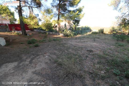 ESTRUCTURA DE CHALET EN LA URABANIZACION EL TOCHAR - VALENCIA