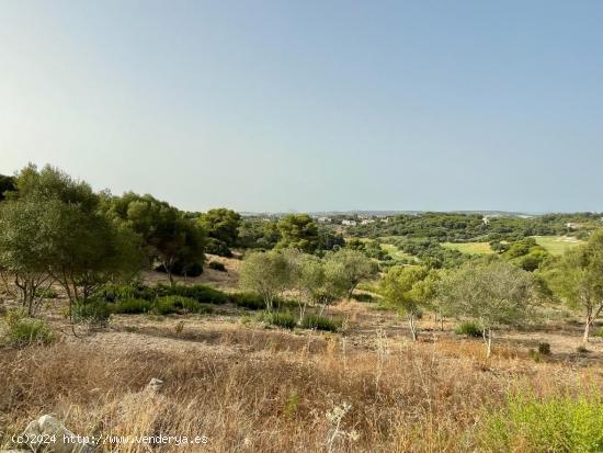  Exclusiva parcela en La Reserva de Sotogrande - CADIZ 