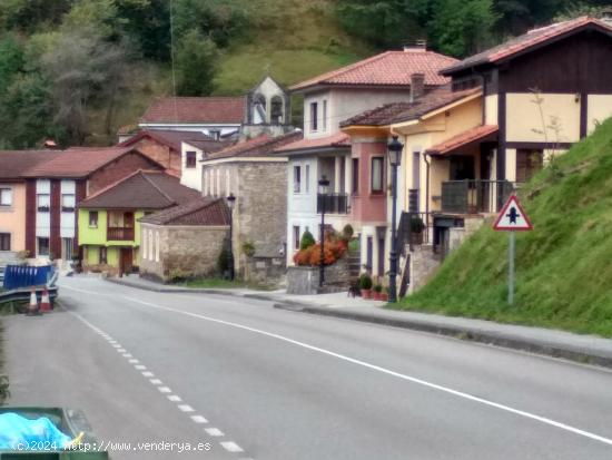 CASA PARA REFORMAR EN PRIANDI ( NAVA - ASTURIAS) - ASTURIAS