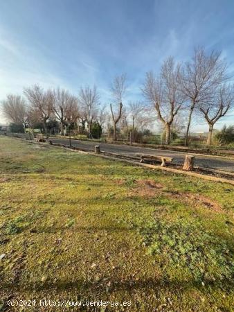 VENTA ESPECTACULAR CHALET CON PARCELA - CIUDAD REAL