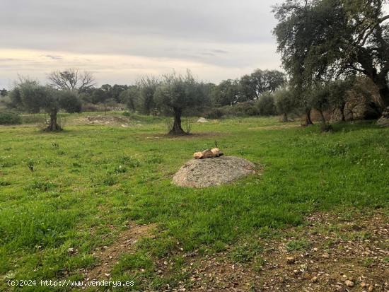 Finca en Montánchez - CACERES