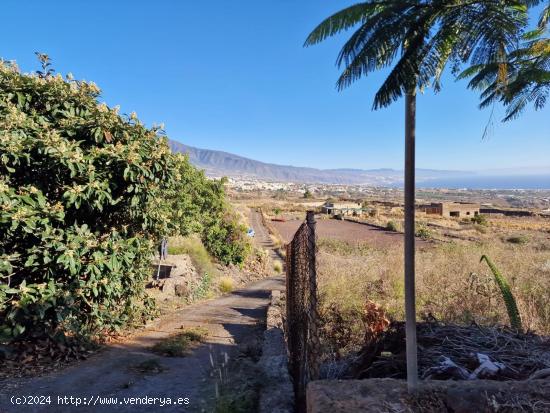 TERRENO RUSTICO NO URBANIZABLE EN GÜÍMAR - SANTA CRUZ DE TENERIFE