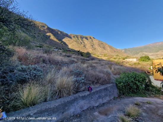 TERRENO RUSTICO NO URBANIZABLE EN GÜÍMAR - SANTA CRUZ DE TENERIFE