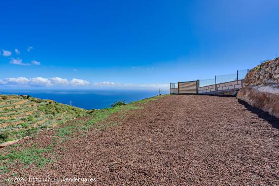 COQUETA CUEVA CHACONA GÚÍMAR¡ - SANTA CRUZ DE TENERIFE