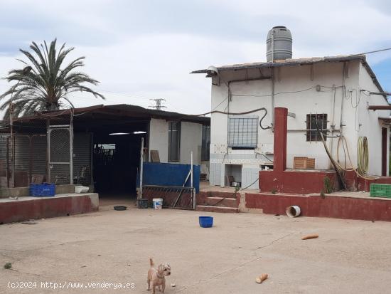 Casa de campo en Carcaixent - VALENCIA