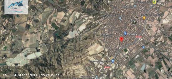 VENTA PISO EN TOTANA ( MURCIA). - MURCIA