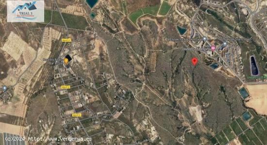 VENTA PISO EN EGEA Y TRUYOLS ( MURCIA). - MURCIA