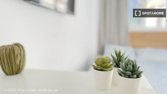 Luminosa habitación con cama de matrimonio equipada para estudiantes - SEVILLA