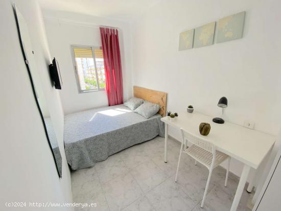 Luminosa habitación con cama de matrimonio equipada para estudiantes - SEVILLA