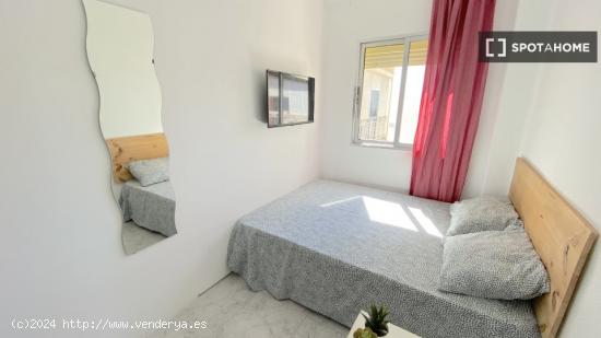 Luminosa habitación con cama de matrimonio equipada para estudiantes - SEVILLA