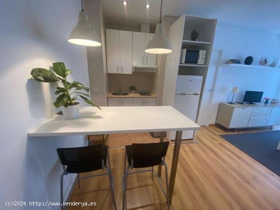 Apartamento entero de 1 dormitorio en Salamanca, Madrid - MADRID