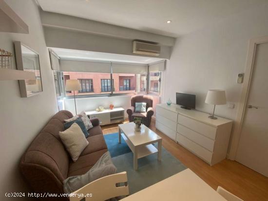 Apartamento entero de 1 habitaciones en Madrid - MADRID