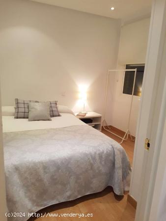 Apartamento entero de 1 habitaciones en Madrid - MADRID