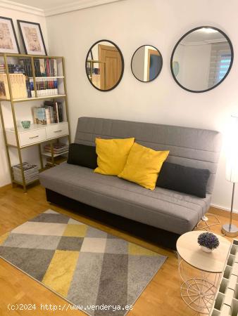 apartamento de 1 dormitorio en alquiler en Lavapiés, Madrid - MADRID