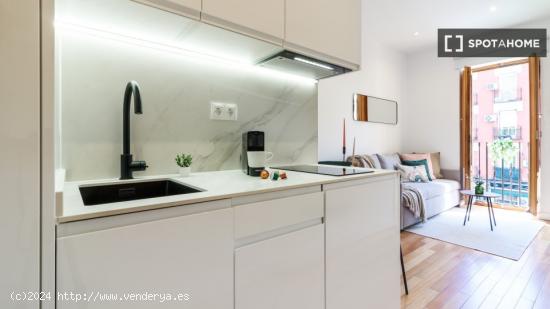 Apartamento entero de 1 habitaciones en Madrid - MADRID