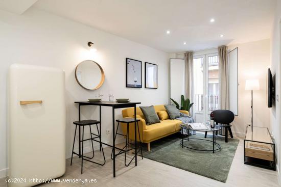 apartamento de 1 dormitorio en alquiler en Lavapiés, Madrid - MADRID