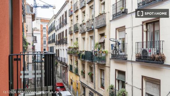 Estudio en alquiler en Lavapiés - MADRID