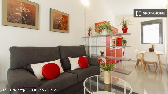 Apartamento entero de 1 habitaciones en Madrid - MADRID