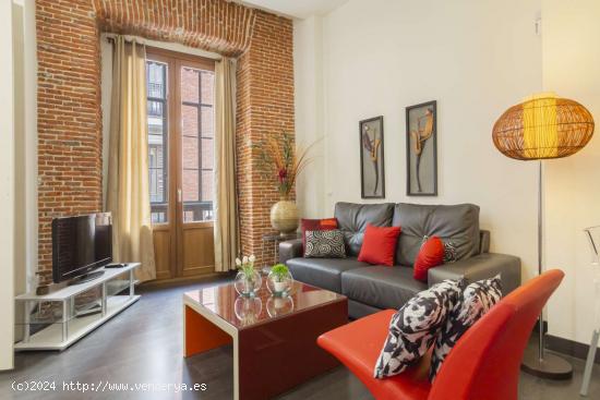 Apartamento entero de 1 habitaciones en Madrid - MADRID