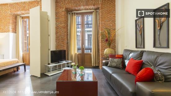 Apartamento entero de 1 habitaciones en Madrid - MADRID