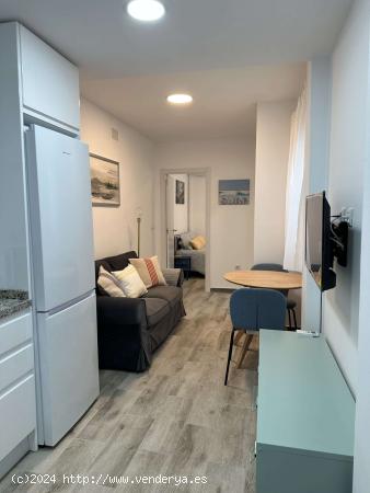 Apartamento entero de 1 dormitorio en Sevilla - SEVILLA