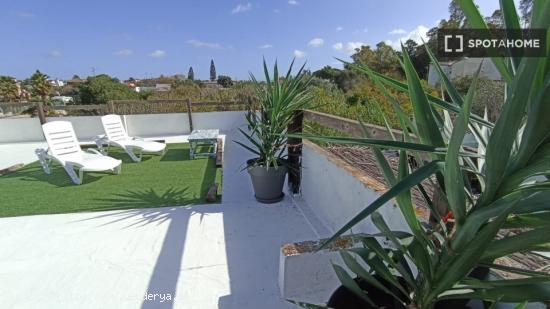 Piso entero de 3 habitaciones en Chiclana de la Frontera - CADIZ