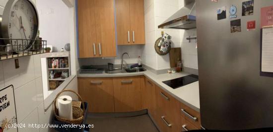 Apartamento entero de 1 dormitorio en Sevilla - SEVILLA