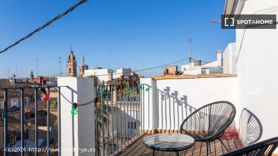 Estudio apartamento en alquiler en Ciutat Vella. - VALENCIA