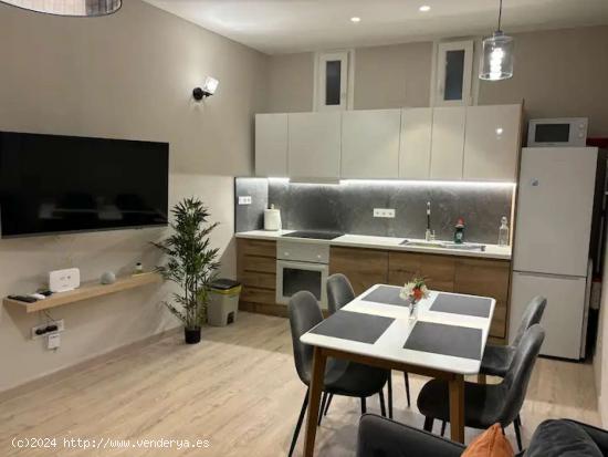  apartamento de 1 dormitorio en alquiler en Lavapiés, Madrid - MADRID 