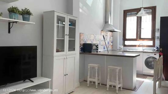 Apartamento de 2 dormitorios en alquiler en Triana - SEVILLA