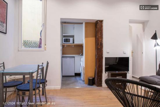 Apartamento de 1 dormitorio en alquiler en Madrid - MADRID