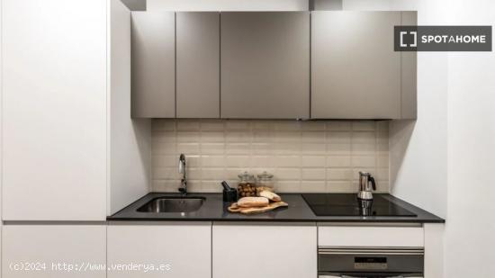 Apartamento de 1 dormitorio en alquiler en Chamberí - MADRID