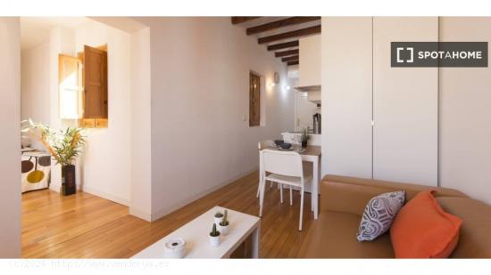 Apartamento entero de 1 habitaciones en Madrid - MADRID