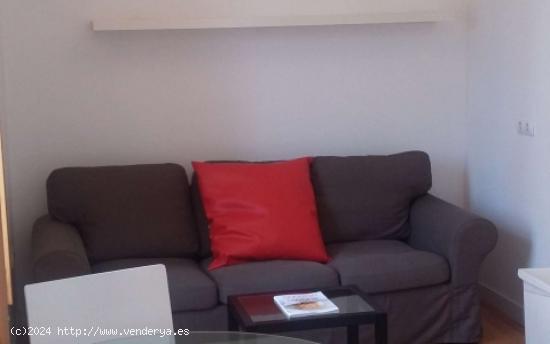 Apartamento entero de 1 habitaciones en Madrid - MADRID