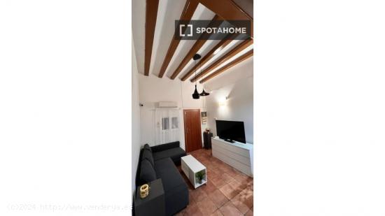 Apartamento de 2 dormitorios en alquiler en El Raval, Barcelona - BARCELONA