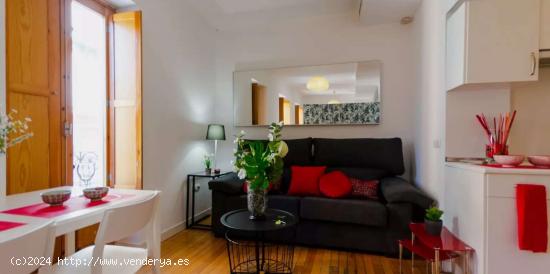 Apartamento entero de 1 habitaciones en Madrid - MADRID