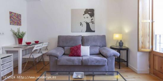  Apartamento entero de 1 habitaciones en Madrid - MADRID 