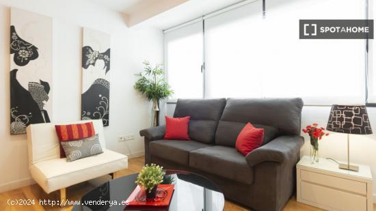 Apartamento entero de 1 habitaciones en Madrid - MADRID