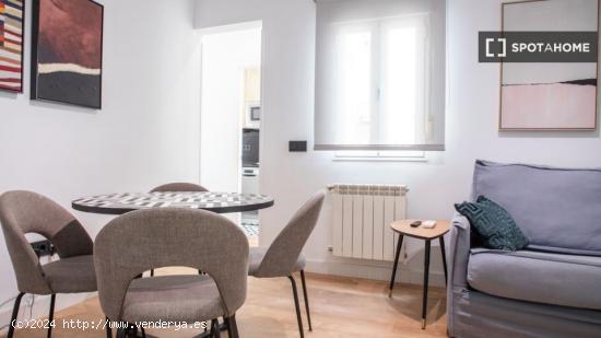 Apartamento entero de 1 habitaciones en Madrid - MADRID