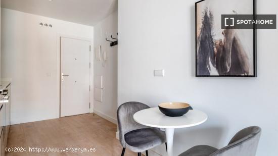 Apartamento de 1 dormitorio en alquiler en Madrid - MADRID