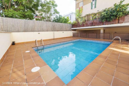  Apartamento entero de 3 dormitorios en Sevilla - SEVILLA 