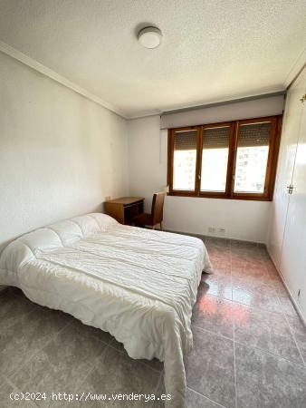  1 dormitorio en piso compartido en Alicante - ALICANTE 