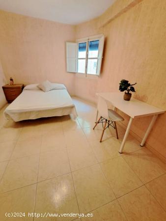 1 dormitorio en piso compartido en Alicante - ALICANTE