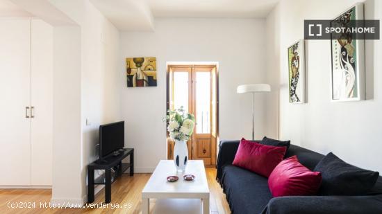 Apartamento entero de 1 habitaciones en Madrid - MADRID