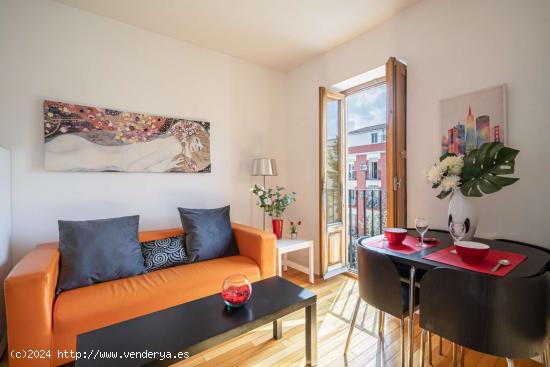 Apartamento entero de 1 habitaciones en Madrid - MADRID