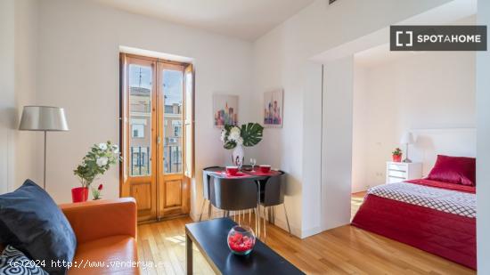 Apartamento entero de 1 habitaciones en Madrid - MADRID