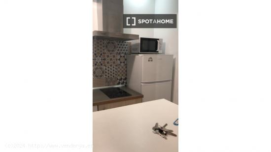 Apartamento entero de 1 habitaciones en Madrid - MADRID