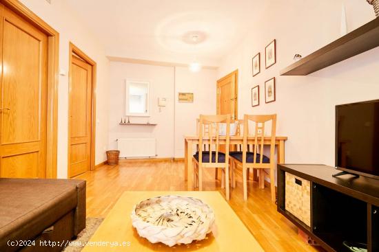 Apartamento de 1 dormitorio en alquiler en Madrid - MADRID