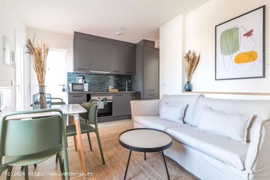 Piso en alquiler de 1 dormitorio en Madrid con terraza - MADRID